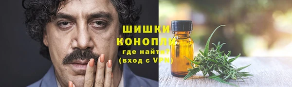 не бодяженный Новозыбков