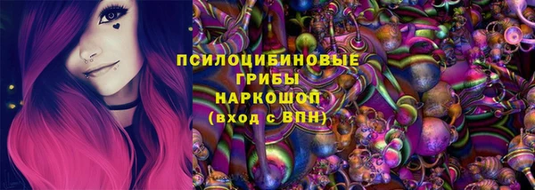 не бодяженный Новозыбков