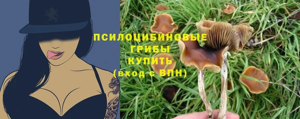 не бодяженный Новозыбков