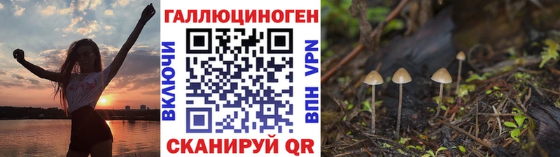 что такое наркотик  Котельниково  кракен рабочий сайт  Псилоцибиновые грибы Psilocybine cubensis 